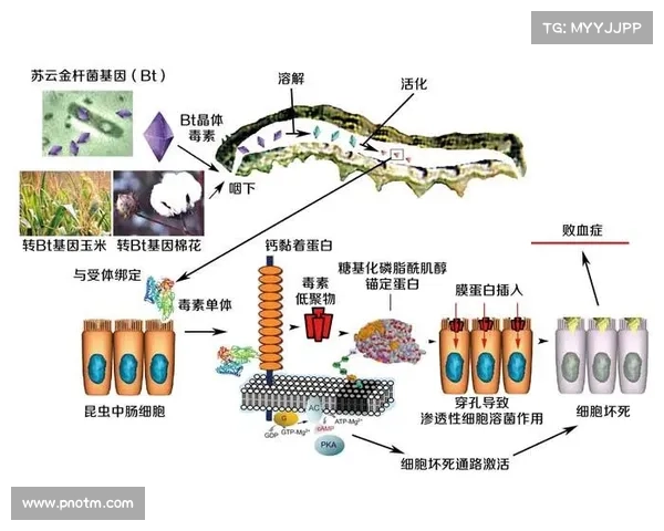 生物科学和健康行业的工作诱饵在新的诈骗活动中被利用 生物科学和健康行业的工作诱饵在新的诈骗活动中被利用