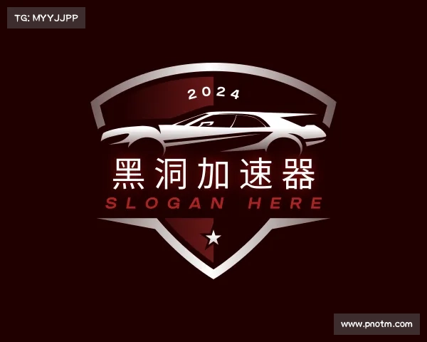 了解黑洞加速器